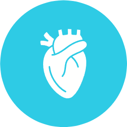 heart (1)
