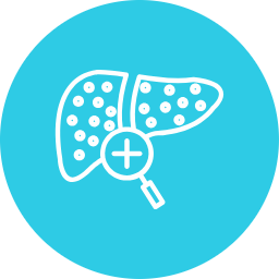 liver