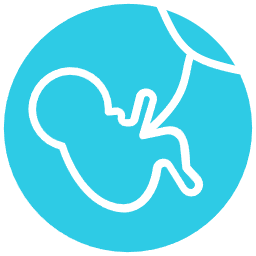 womb